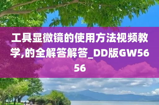 工具显微镜的使用方法视频教学,的全解答解答_DD版GW5656