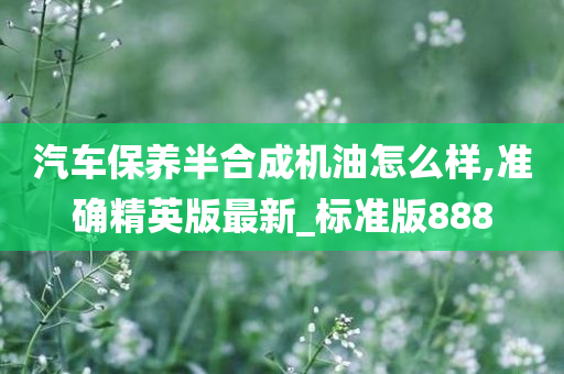 汽车保养半合成机油怎么样,准确精英版最新_标准版888