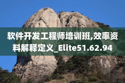 软件开发工程师培训班,效率资料解释定义_Elite51.62.94