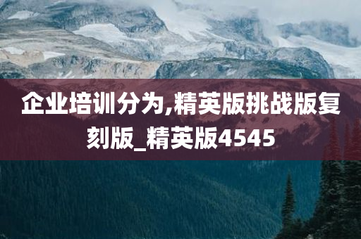 企业培训分为,精英版挑战版复刻版_精英版4545