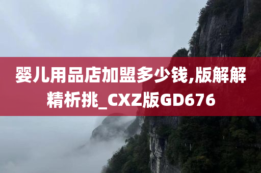 婴儿用品店加盟多少钱,版解解精析挑_CXZ版GD676