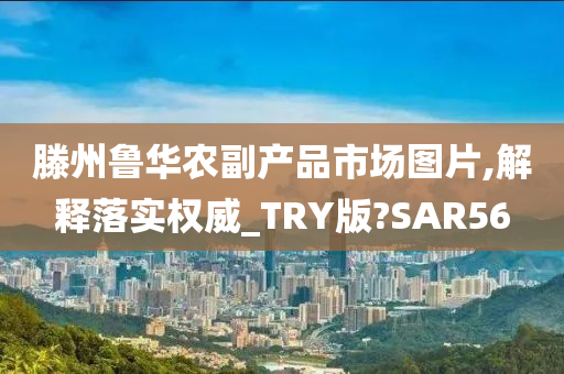 滕州鲁华农副产品市场图片,解释落实权威_TRY版?SAR56