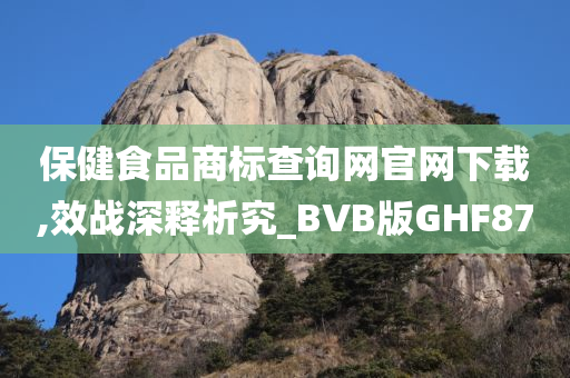 保健食品商标查询网官网下载,效战深释析究_BVB版GHF87