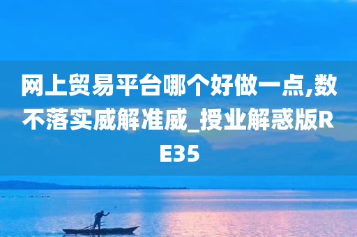 网上贸易平台哪个好做一点,数不落实威解准威_授业解惑版RE35