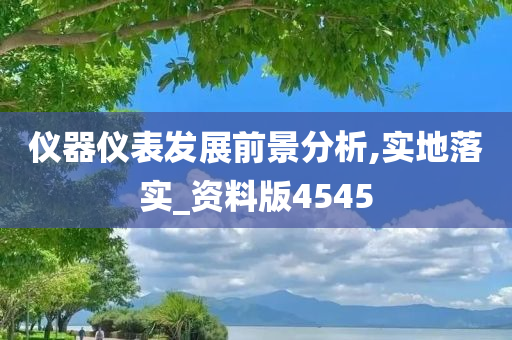 仪器仪表发展前景分析,实地落实_资料版4545