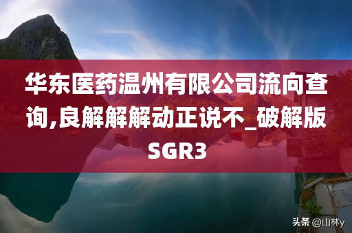 华东医药温州有限公司流向查询,良解解解动正说不_破解版SGR3