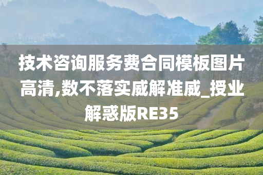 技术咨询服务费合同模板图片高清,数不落实威解准威_授业解惑版RE35