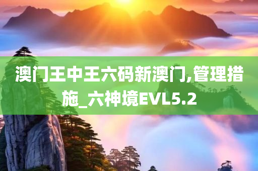 澳门王中王六码新澳门,管理措施_六神境EVL5.2