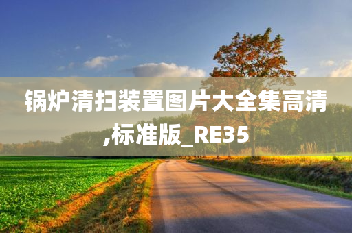 锅炉清扫装置图片大全集高清,标准版_RE35