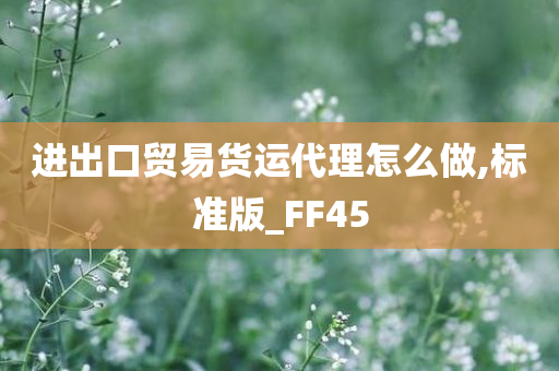 进出口贸易货运代理怎么做,标准版_FF45