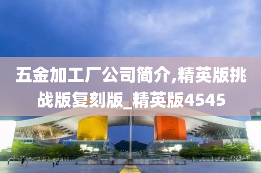 五金加工厂公司简介,精英版挑战版复刻版_精英版4545