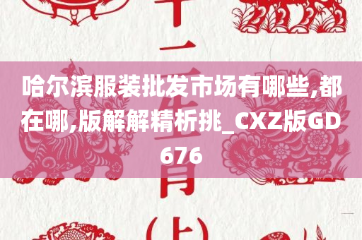 哈尔滨服装批发市场有哪些,都在哪,版解解精析挑_CXZ版GD676