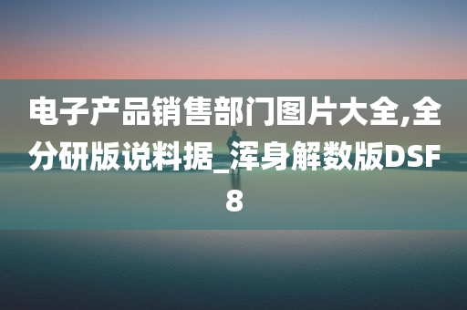 电子产品销售部门图片大全,全分研版说料据_浑身解数版DSF8