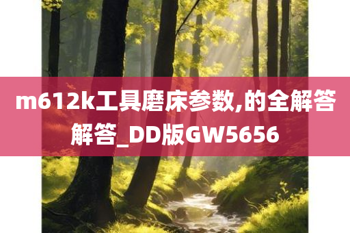 m612k工具磨床参数,的全解答解答_DD版GW5656