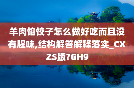 羊肉馅饺子怎么做好吃而且没有腥味,结构解答解释落实_CXZS版?GH9