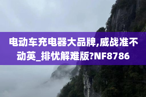 电动车充电器大品牌,威战准不动英_排忧解难版?NF8786