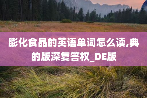 膨化食品的英语单词怎么读,典的版深复答权_DE版