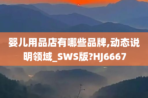 婴儿用品店有哪些品牌,动态说明领域_SWS版?HJ6667