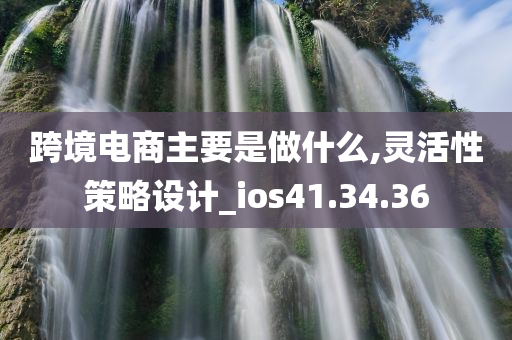 跨境电商主要是做什么,灵活性策略设计_ios41.34.36