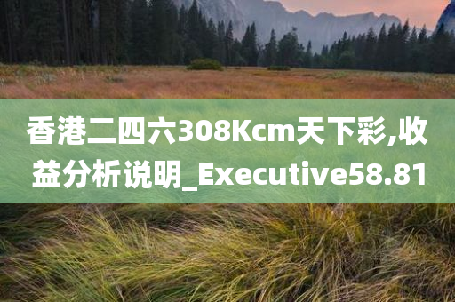 香港二四六308Kcm天下彩,收益分析说明_Executive58.81