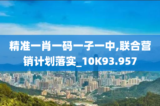 精准一肖一码一子一中,联合营销计划落实_10K93.957