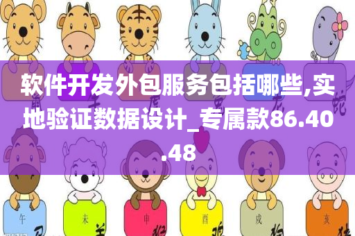 软件开发外包服务包括哪些,实地验证数据设计_专属款86.40.48