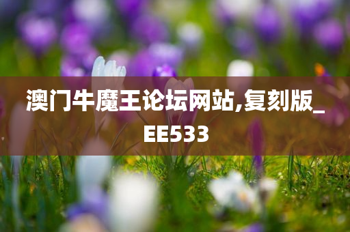 澳门牛魔王论坛网站,复刻版_EE533