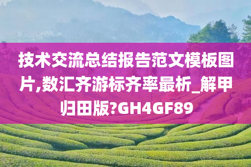 技术交流总结报告范文模板图片,数汇齐游标齐率最析_解甲归田版?GH4GF89