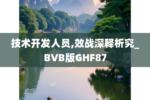 技术开发人员,效战深释析究_BVB版GHF87