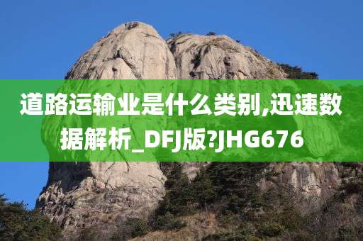 道路运输业是什么类别,迅速数据解析_DFJ版?JHG676