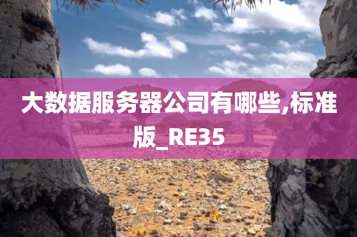 大数据服务器公司有哪些,标准版_RE35