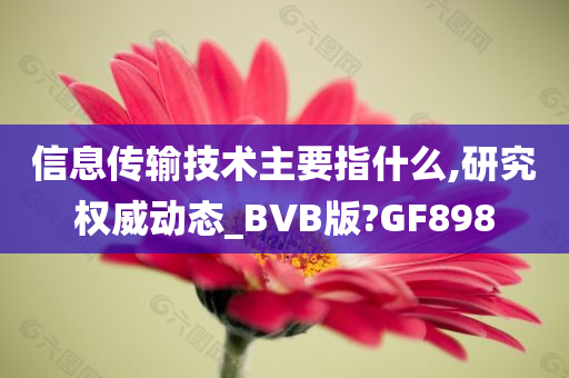 信息传输技术主要指什么,研究权威动态_BVB版?GF898