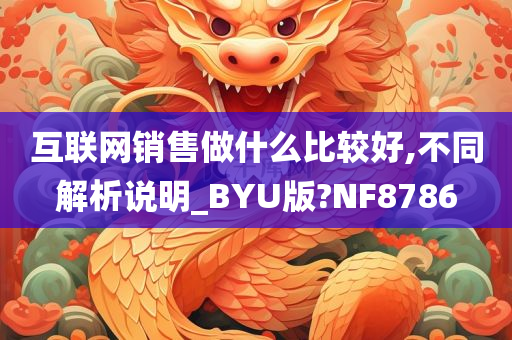 互联网销售做什么比较好,不同解析说明_BYU版?NF8786