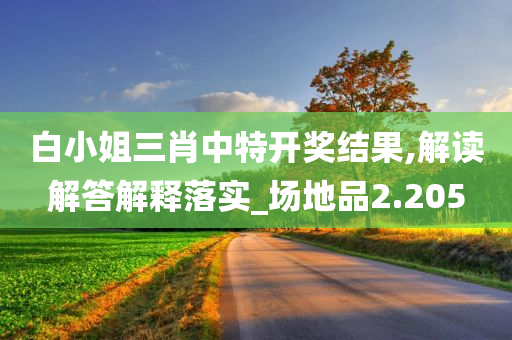 白小姐三肖中特开奖结果,解读解答解释落实_场地品2.205