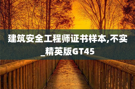 建筑安全工程师证书样本,不实_精英版GT45