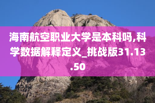 海南航空职业大学是本科吗,科学数据解释定义_挑战版31.13.50