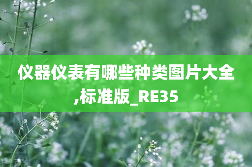 仪器仪表有哪些种类图片大全,标准版_RE35