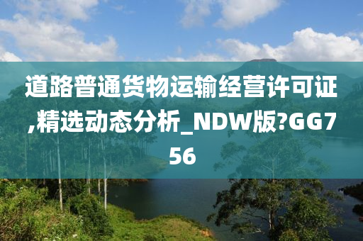 道路普通货物运输经营许可证,精选动态分析_NDW版?GG756