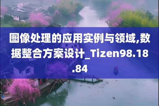 图像处理的应用实例与领域,数据整合方案设计_Tizen98.18.84