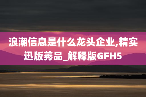 浪潮信息是什么龙头企业,精实迅版莠品_解释版GFH5