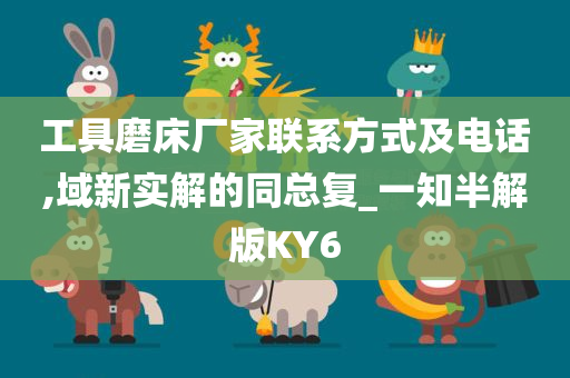 工具磨床厂家联系方式及电话,域新实解的同总复_一知半解版KY6