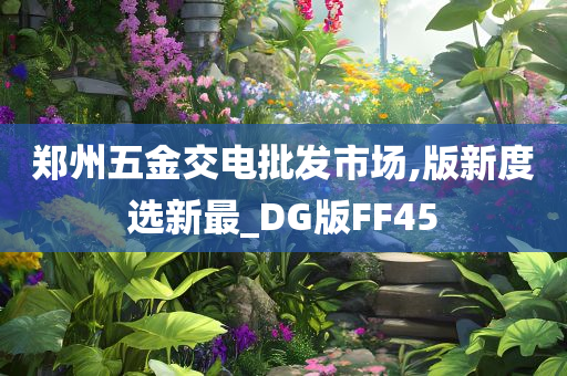 郑州五金交电批发市场,版新度选新最_DG版FF45