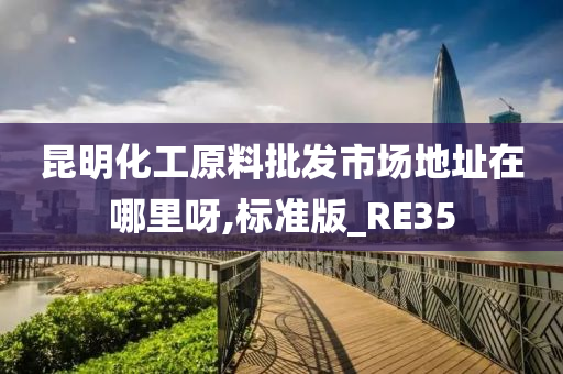 昆明化工原料批发市场地址在哪里呀,标准版_RE35