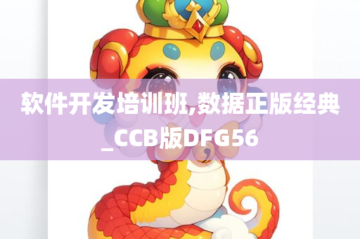 软件开发培训班,数据正版经典_CCB版DFG56