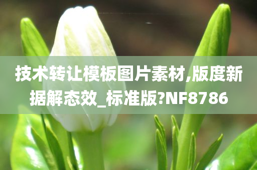 技术转让模板图片素材,版度新据解态效_标准版?NF8786