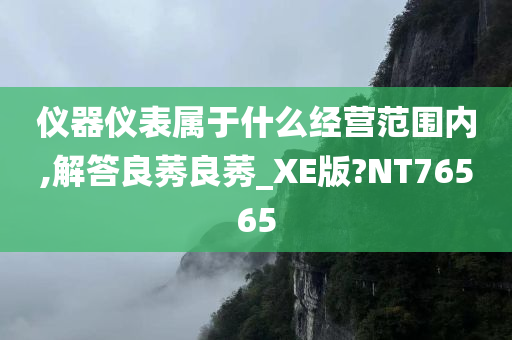 仪器仪表属于什么经营范围内,解答良莠良莠_XE版?NT76565