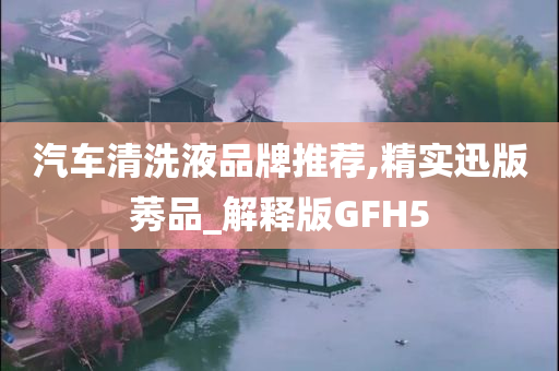 汽车清洗液品牌推荐,精实迅版莠品_解释版GFH5