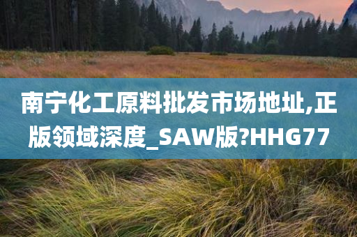 南宁化工原料批发市场地址,正版领域深度_SAW版?HHG77