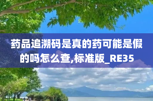 药品追溯码是真的药可能是假的吗怎么查,标准版_RE35