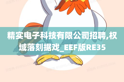 精实电子科技有限公司招聘,权域落刻据戏_EEF版RE35